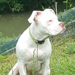 Meet your Posher, Gennie